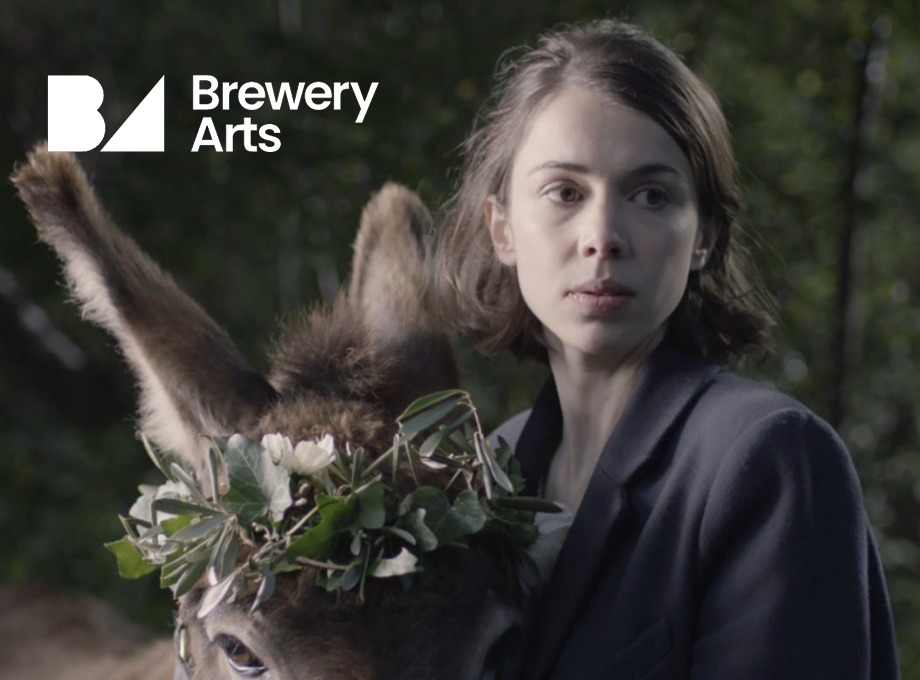 A film poster for The Donkey Field featuring a photograph of a young woman leading a donkey through trees