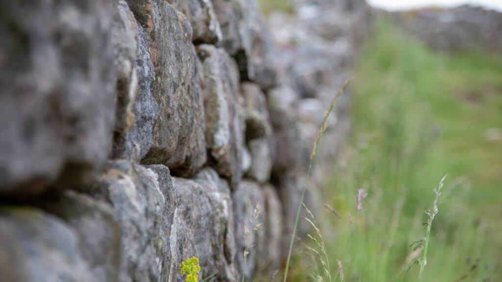 Up-close image of a grey dry stone wall and grass.